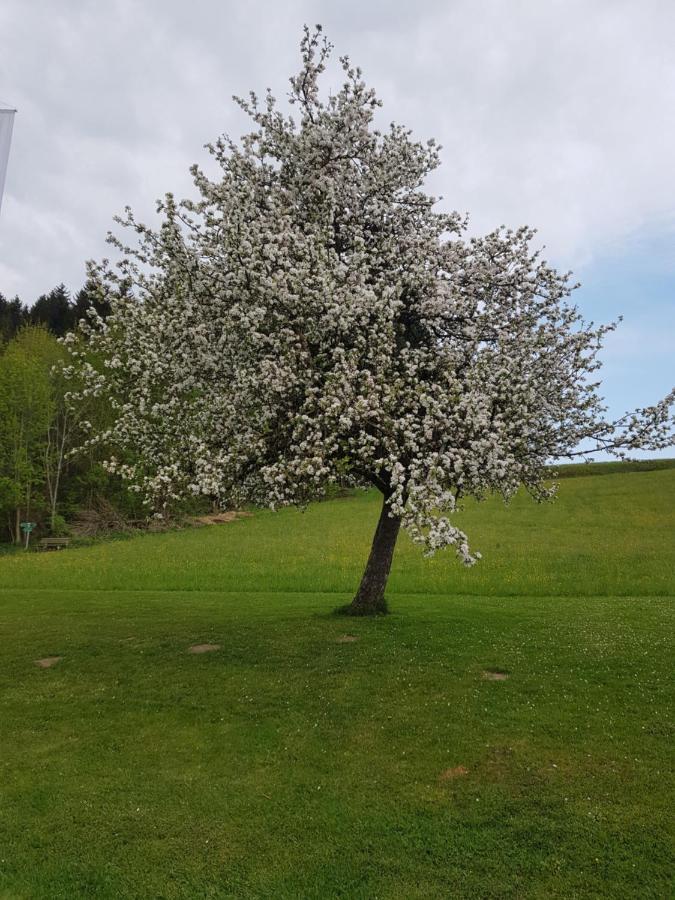 Berg Hotel Weingarten Garni ริมสติง ภายนอก รูปภาพ